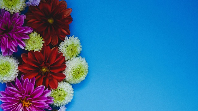 尔夫度假村 尔夫度假村