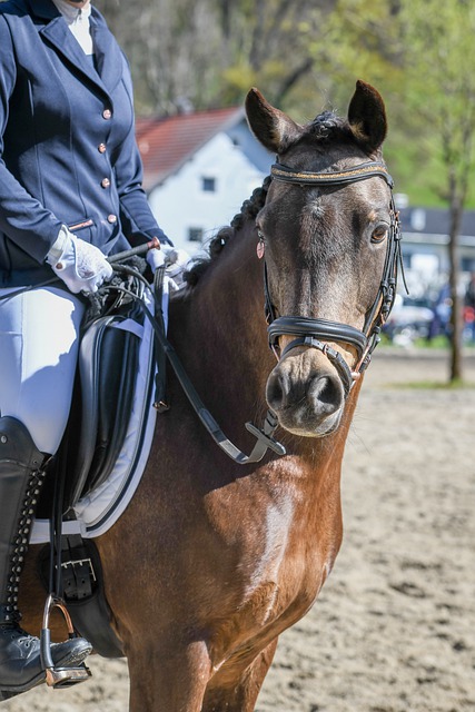 与巴塞罗那 与巴塞罗那