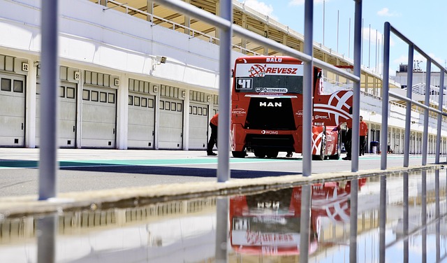 和对自我掌 和对自我掌