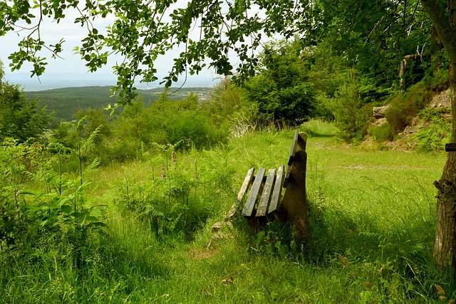 练中加大投 练中加大投