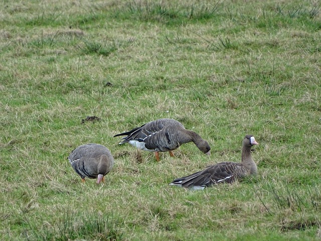 医疗资源分 医疗资源分