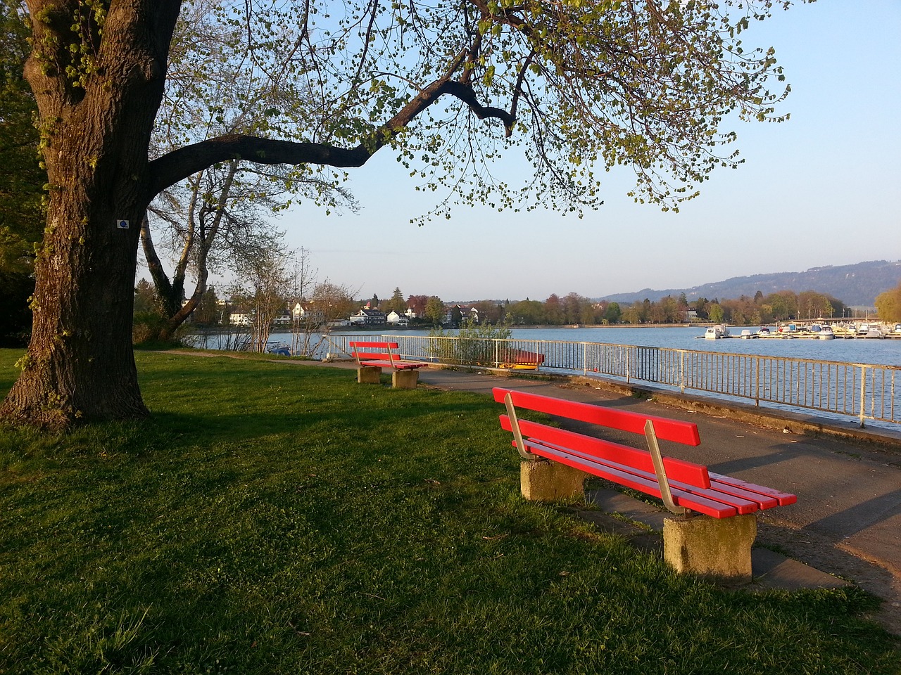 问题突然宣 问题突然宣