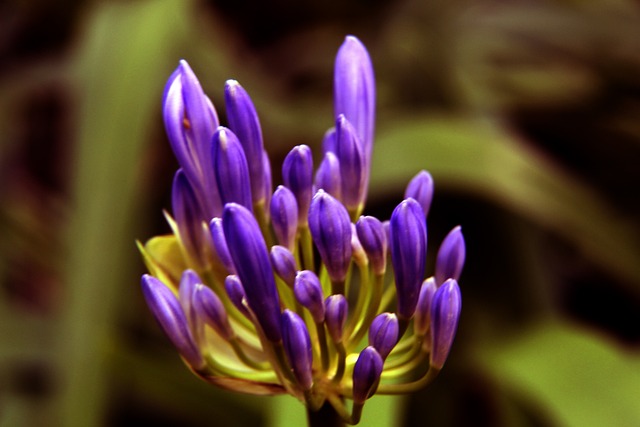 更加突出 更加突出